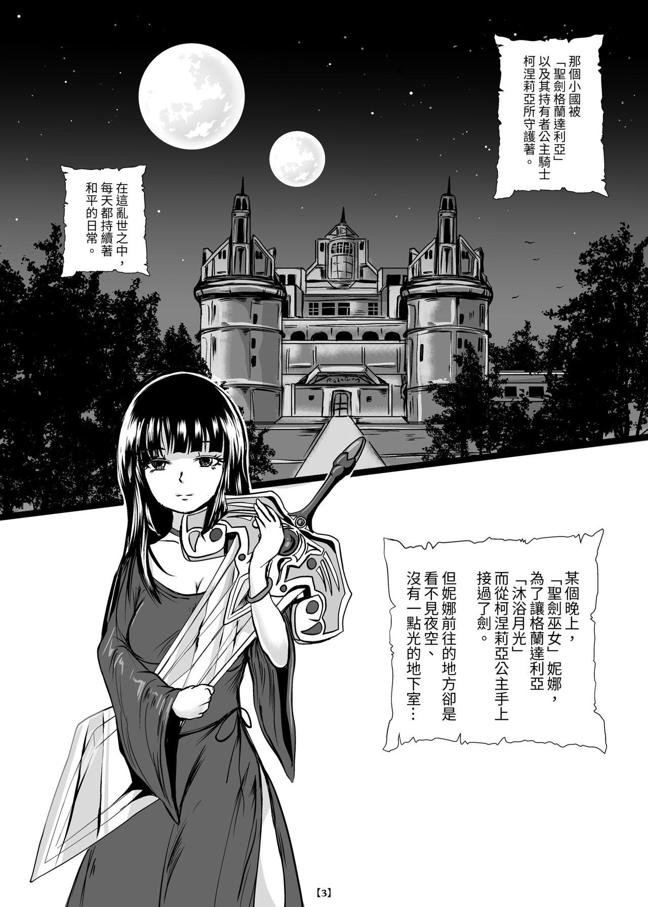 Marunomijo no Himekishi | 完全吞噬城堡之公主騎士 5