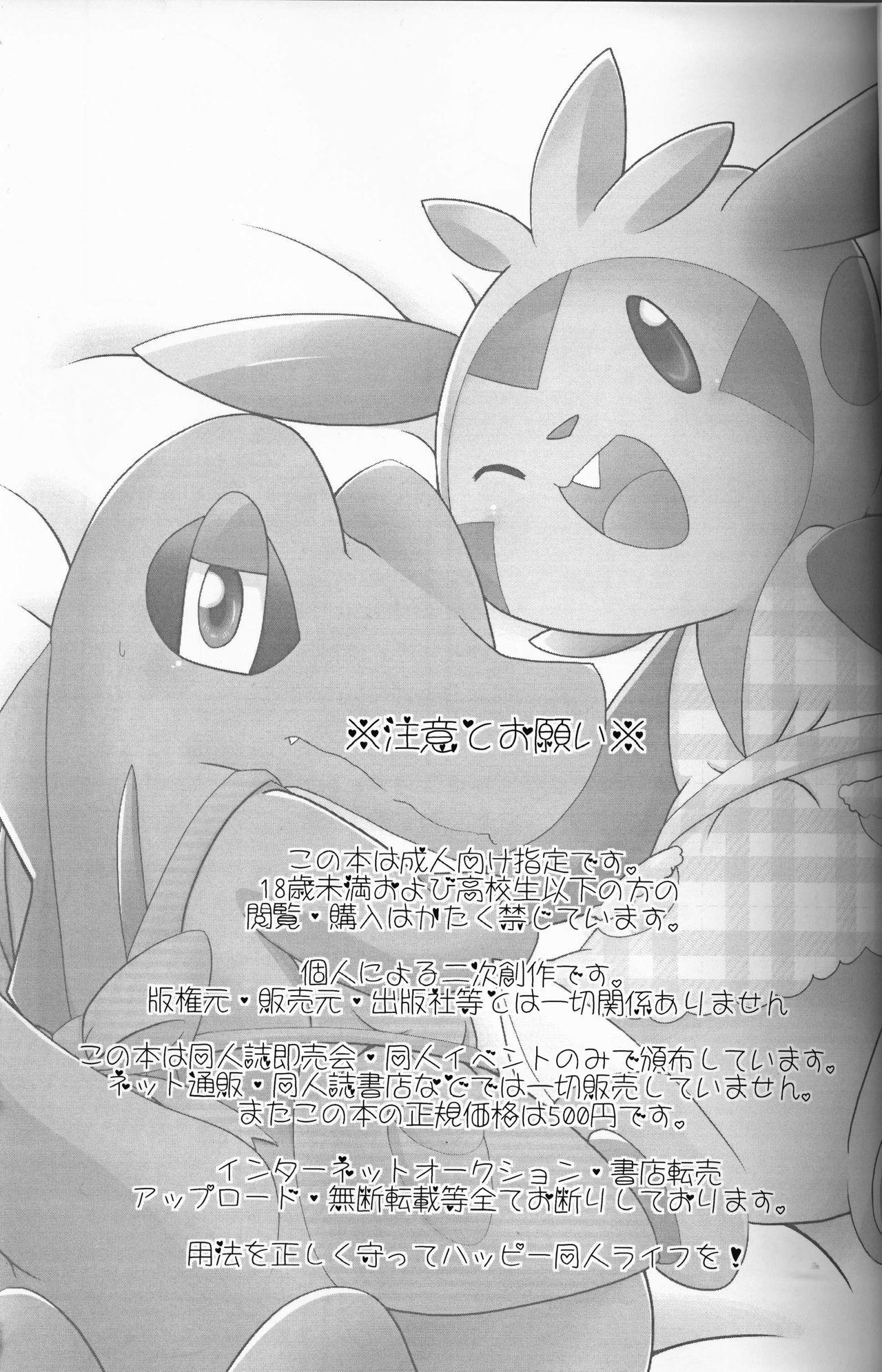 Chupa Dreamy Smoke - Pokemon Gay Bukkake - Page 3