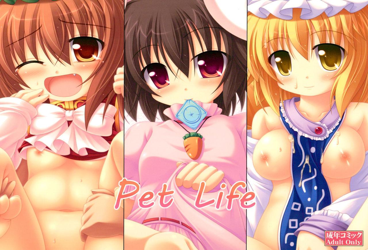 Pet Life 0