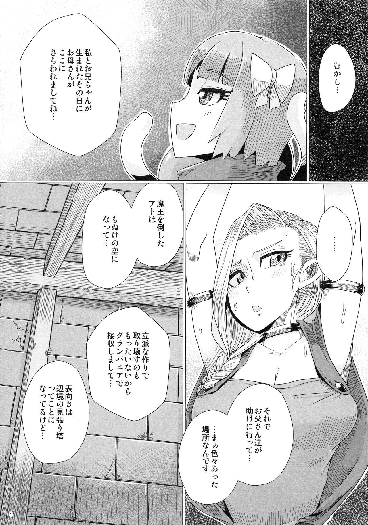 Amature Zoku Yamaoku e Ikou! - Dragon quest v Casal - Page 5