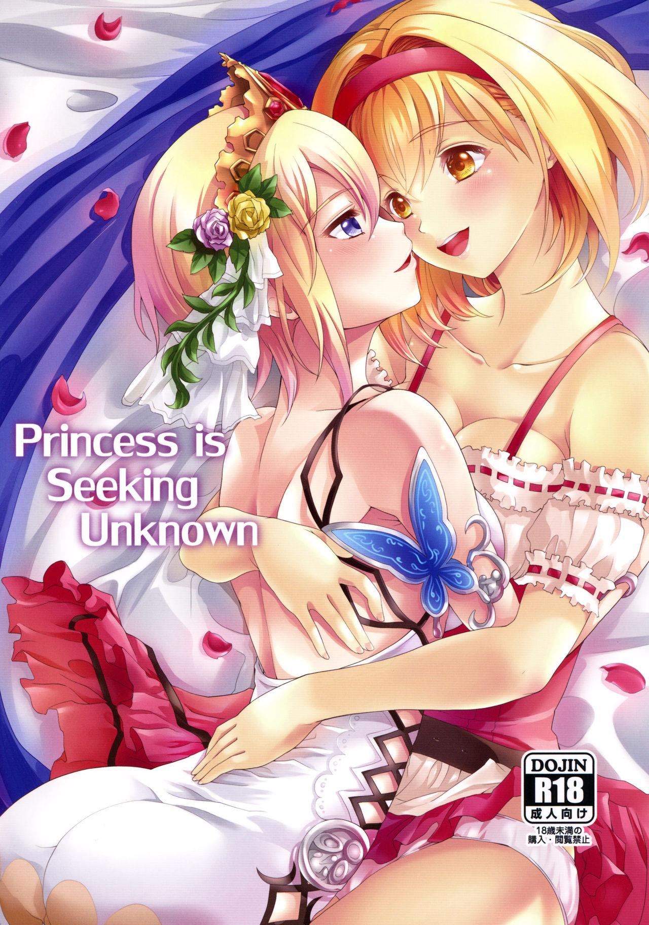 Princess is Seeking Unknown 0