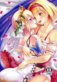 Cachonda Princess Is Seeking Unknown Granblue Fantasy Arrecha 1