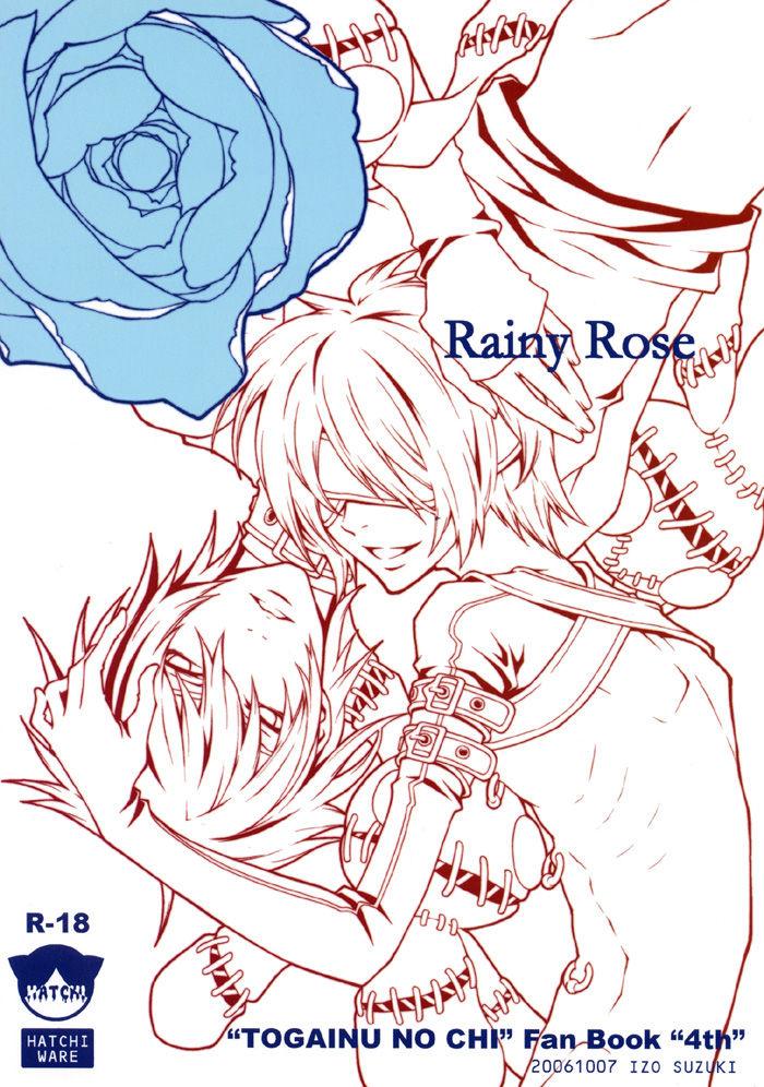 Rainy Rose 3