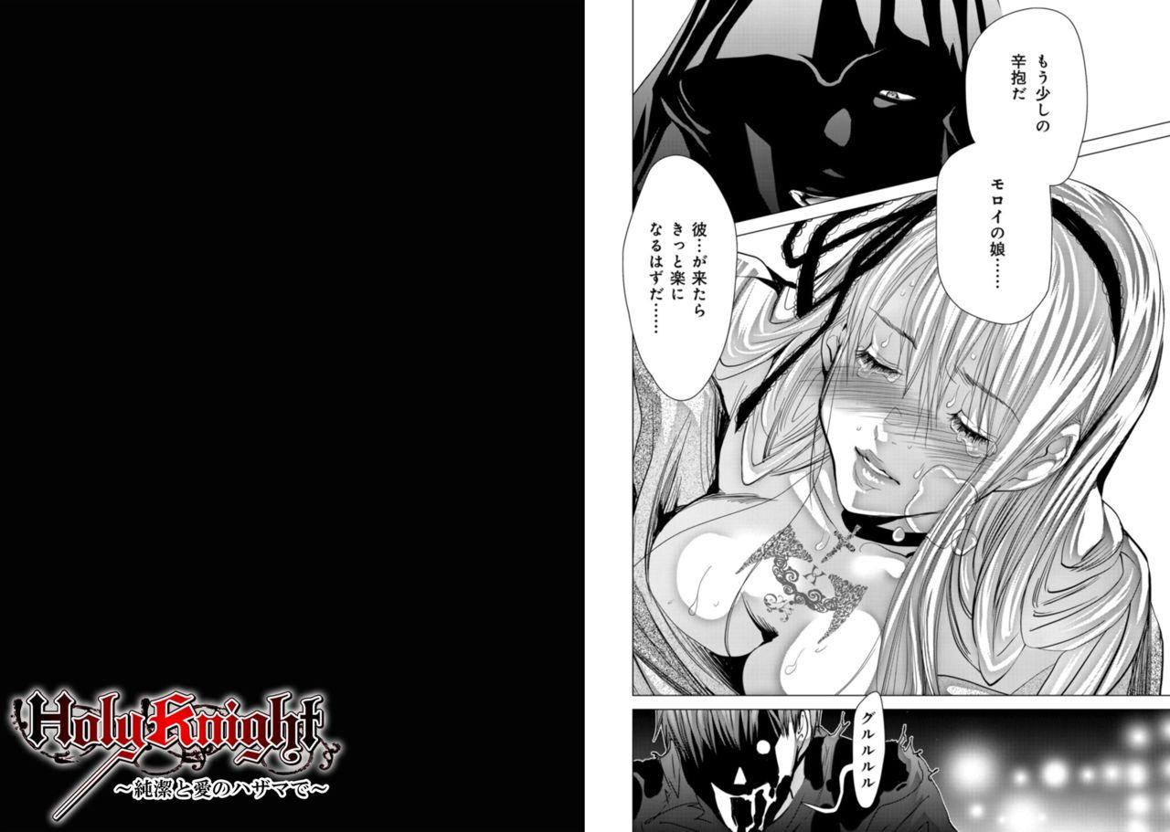 [Miyazaki Maya] Holy Knight ~Junketsu to Ai no Hazama de~ Vol. 9 22