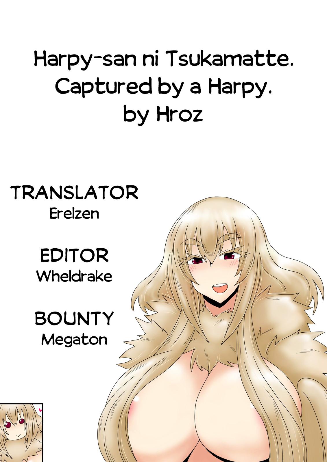 Harpy-san ni Tsukamatte. | Captured By A Harpy. 9