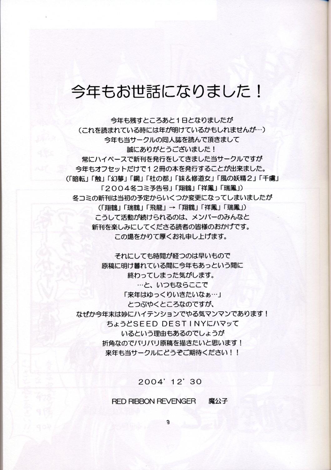 Suck Cock Shouhou - Gundam seed destiny Family Sex - Page 3