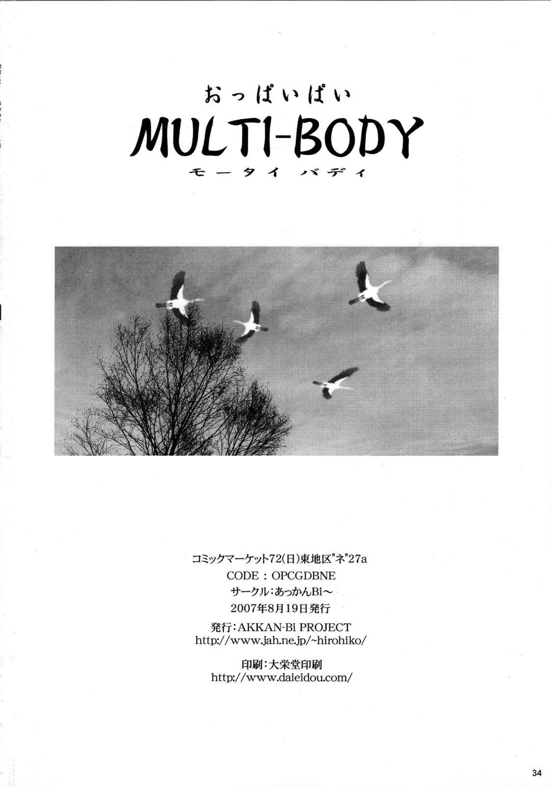 MULTI-BODY 32