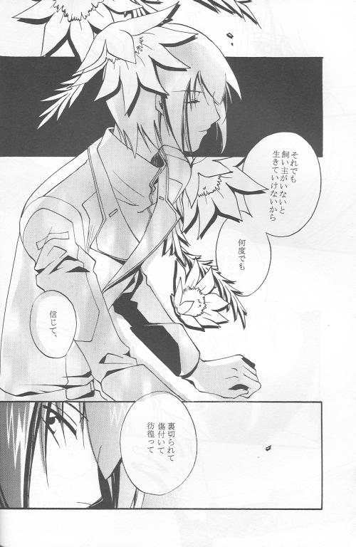 Amatuer Orokashikute Kawaisouna - Gundam seed destiny Gundam seed Old Vs Young - Page 4