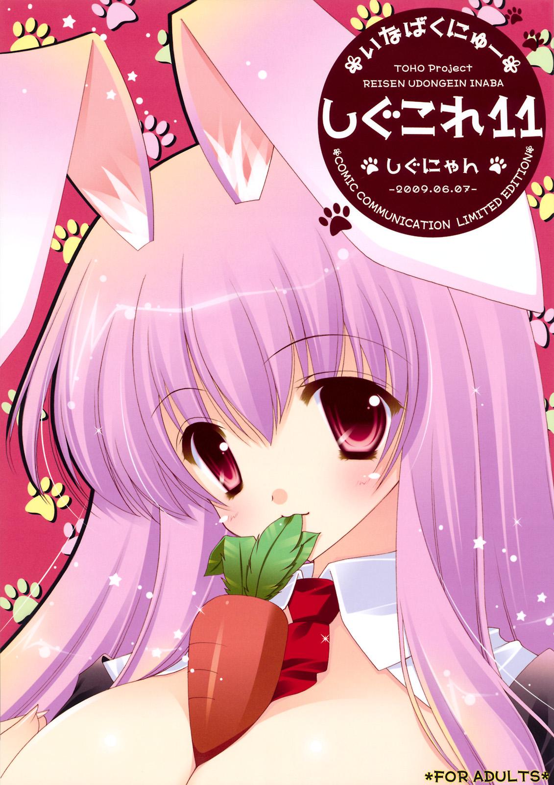 Redbone Shigukore 11 - Touhou project Gay Pawn - Picture 1