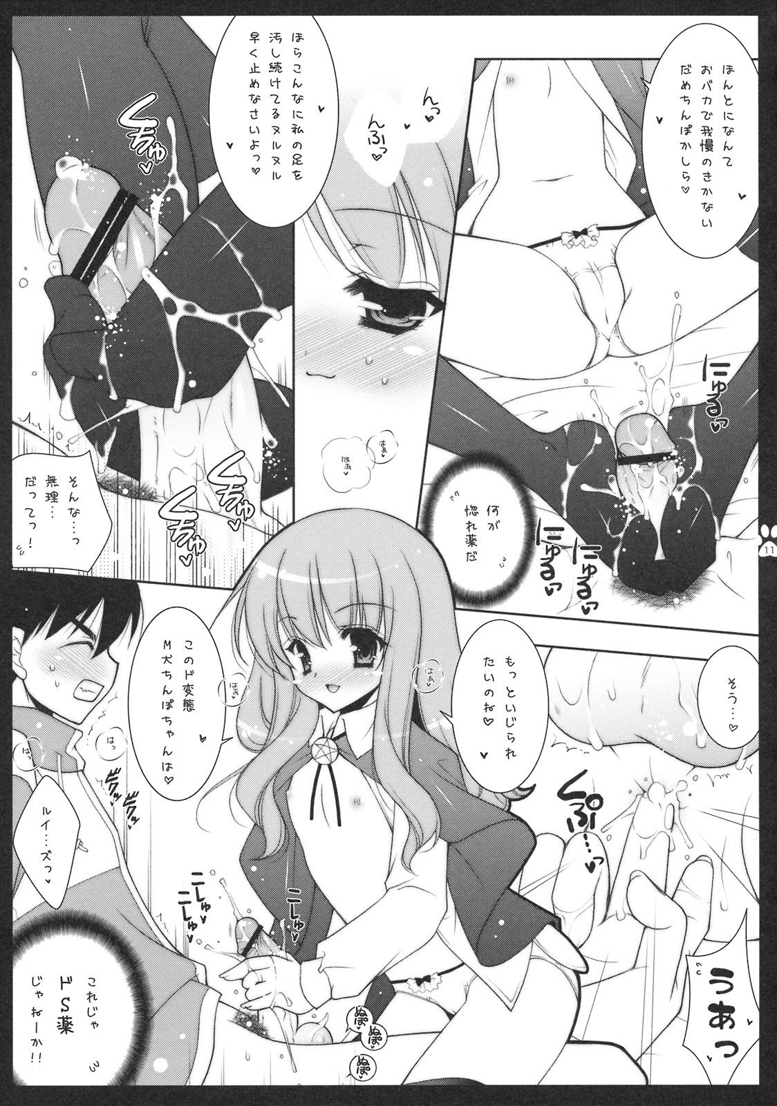 Squirters Shigukore 4 - Zero no tsukaima Sex Massage - Page 10