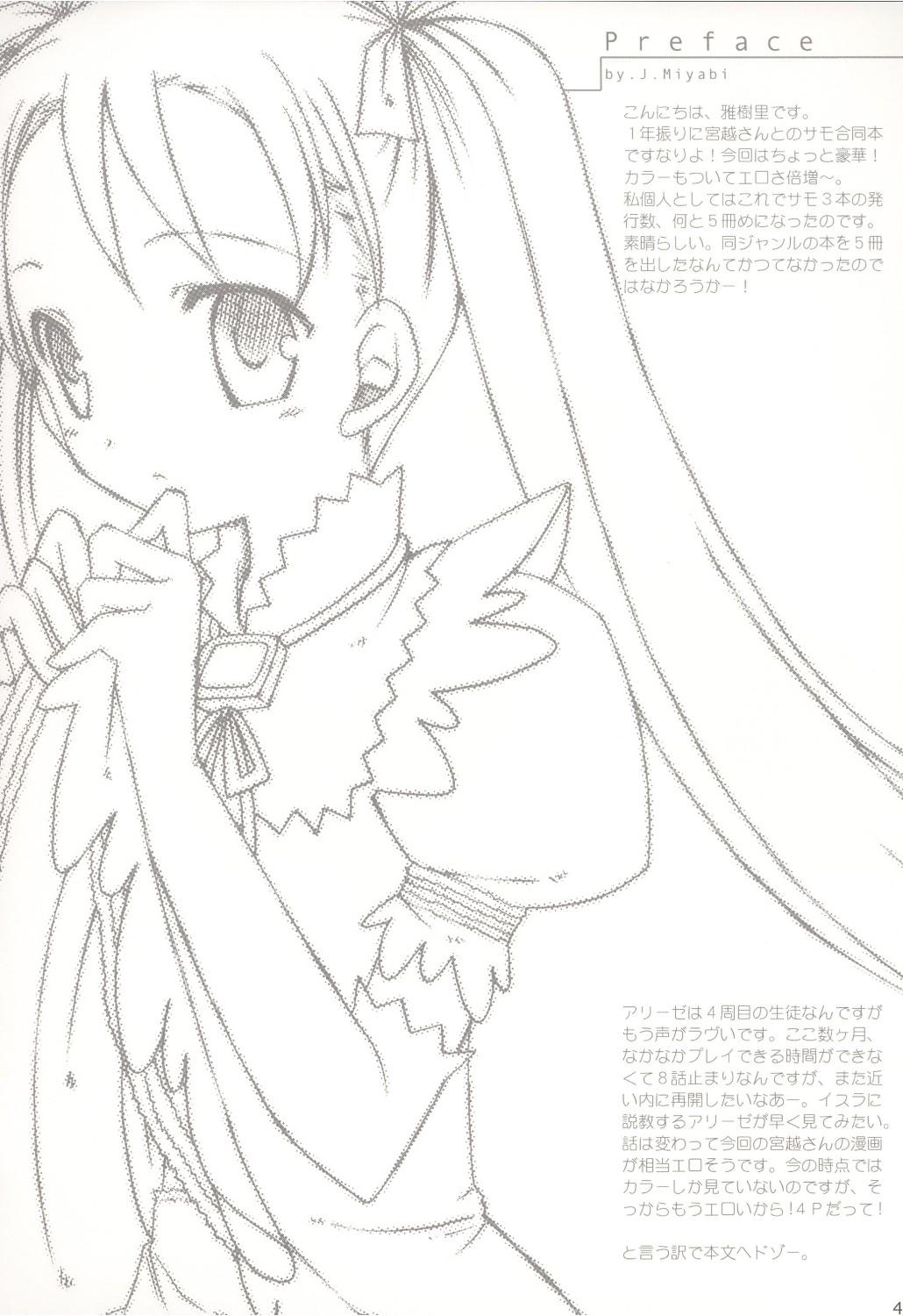 Amateur edelweiss - Summon night Teenie - Page 3