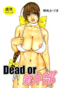 Sexpo Dead Or Alive Dead Or Alive Adult Toys 1