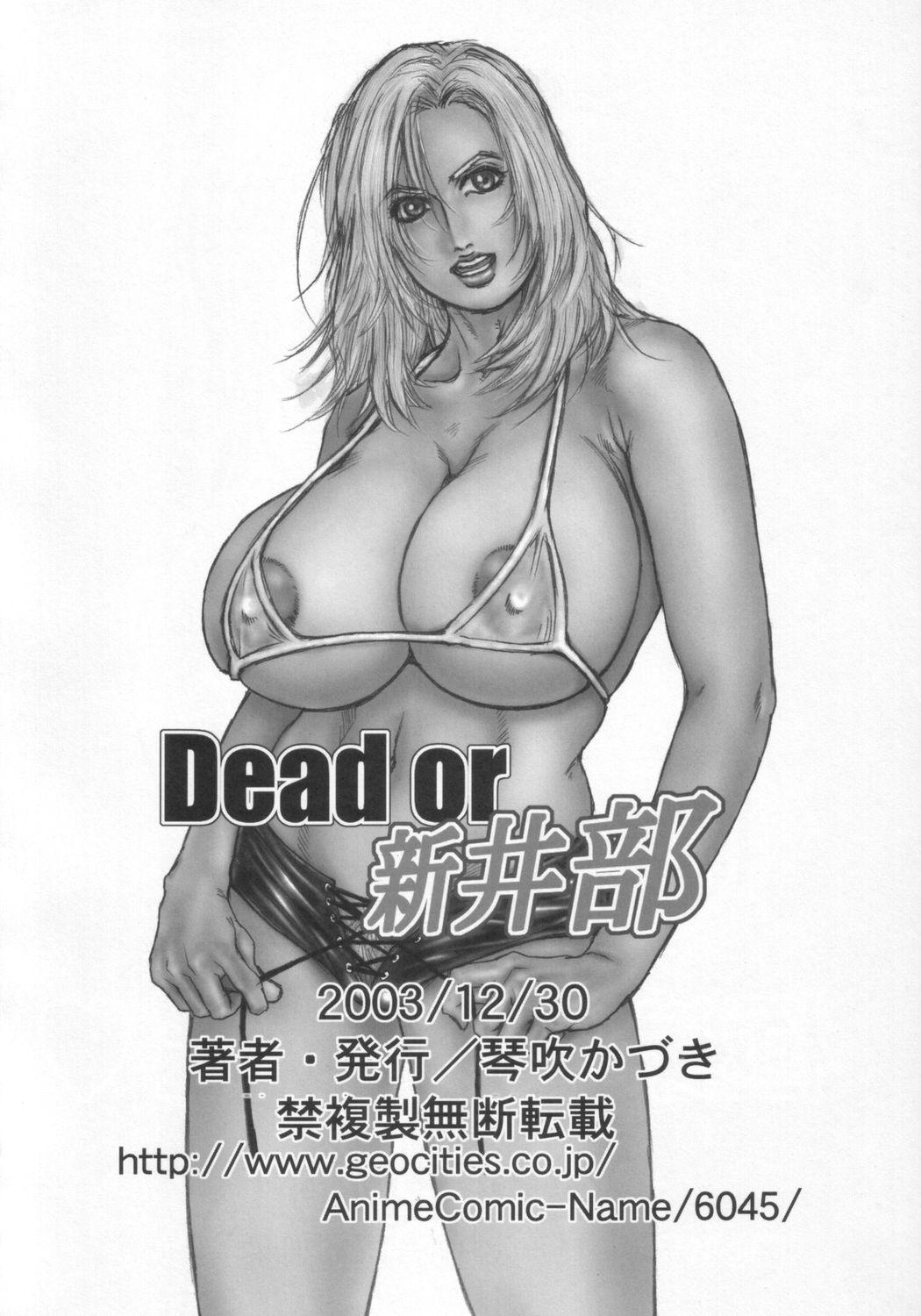 Dead or Alive 28