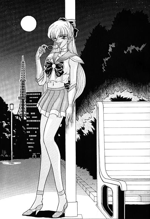 (SC1) [ENERGYA (Roshiya No Dassouhei)] COLLECTION OF -SAILORMOON- ILLUSTRATIONS FOR ADULT Vol.1 (Bishoujo Senshi Sailor Moon) 5