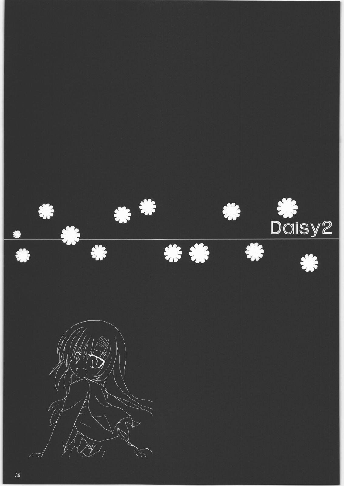 Daisy 2 38