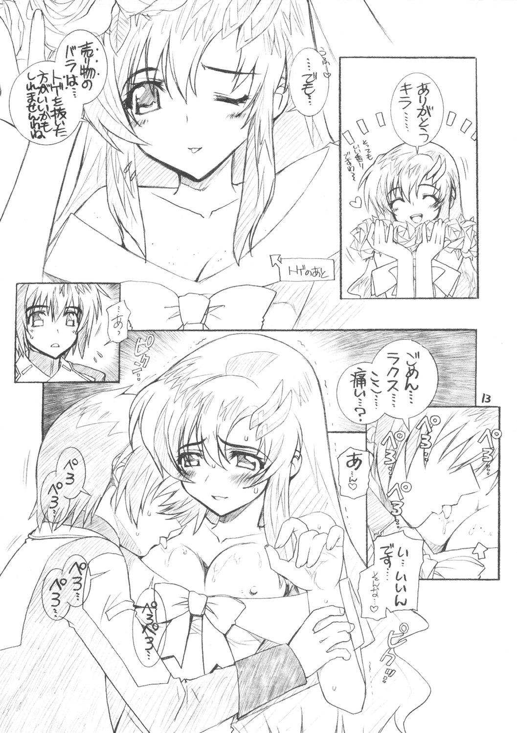 Free Blow Job From A to Z - Gundam seed destiny Curvy - Page 12