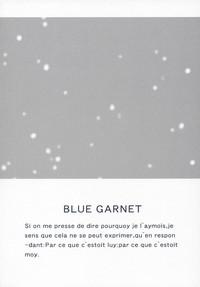 BLUE GARNET XVII 3