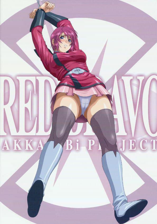 Shemale Sex RED BRAVO - Gundam seed destiny Spanish - Page 34