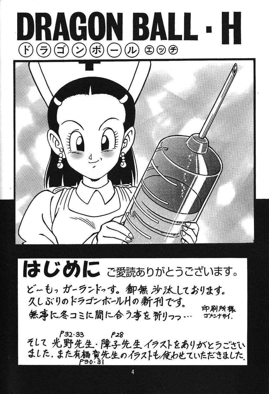 Swallow DragonBall H Maki San - Dragon ball z Shaved - Page 3