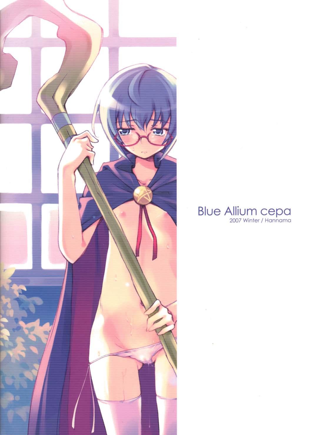Blue Allium cepa 27