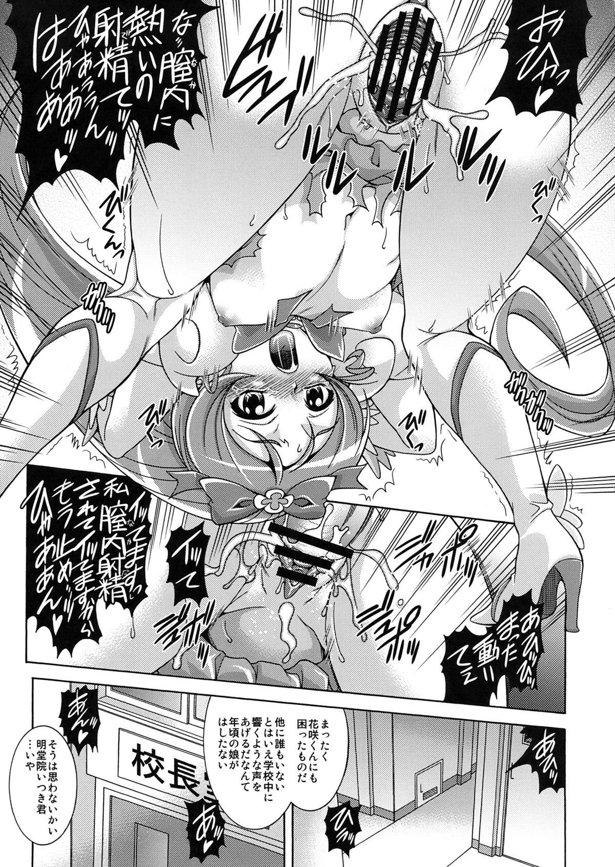 Storyline Hino Hikari Kageru - Heartcatch precure Uncensored - Page 5