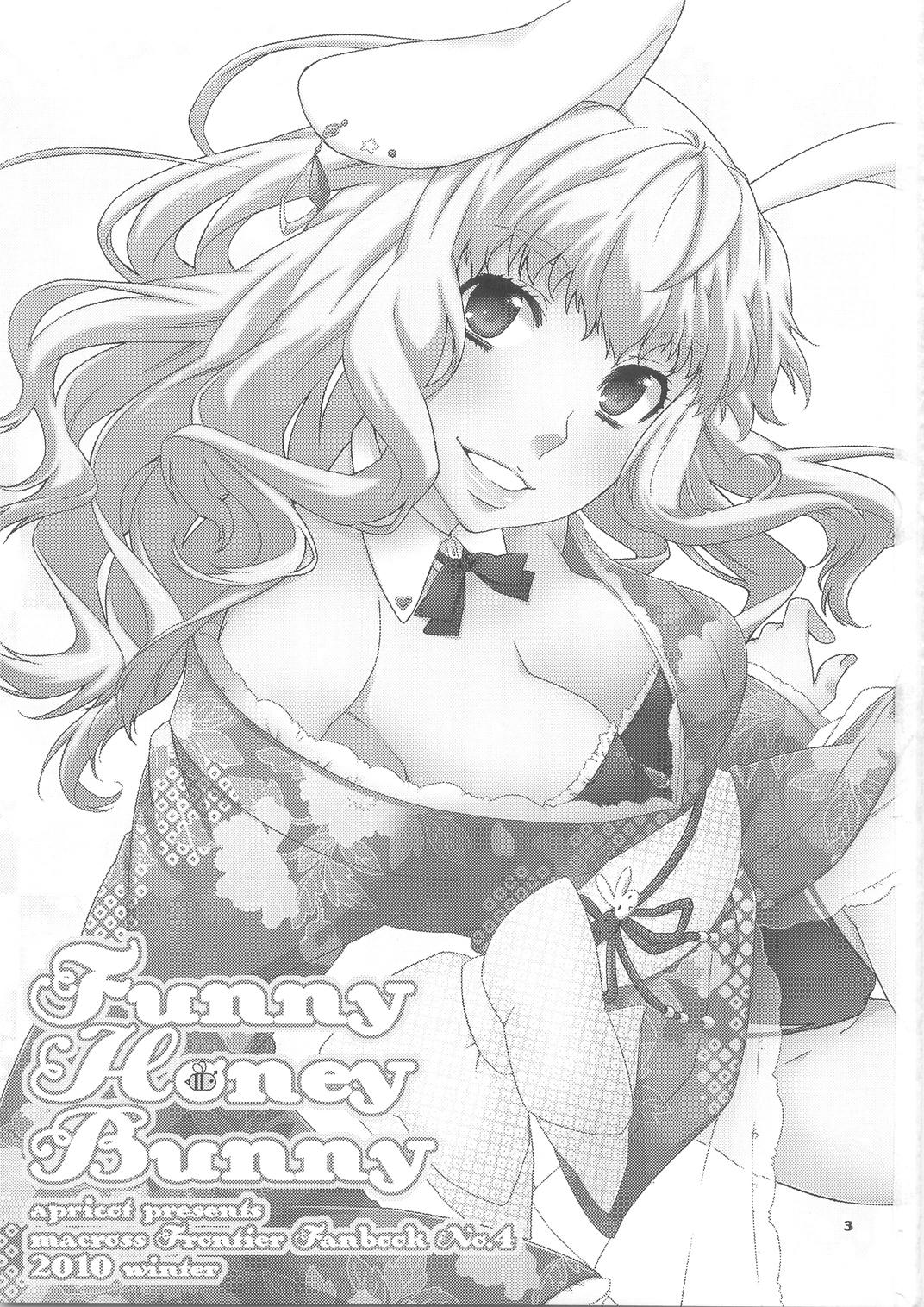 Bizarre Funny Honey Bunny - Macross frontier Boy Girl - Page 3
