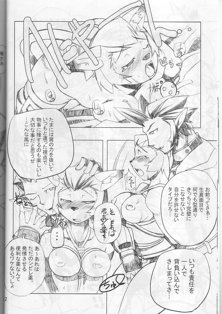 Blowjobs Neko Neko Punch - Final fantasy xi Gay Brownhair - Page 11