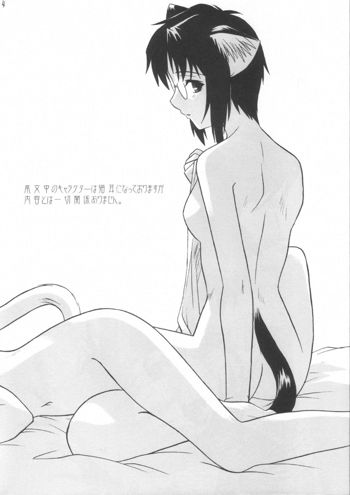 Bedroom Mitsugetsu Vol. 3 - Tsukihime Big Dildo - Page 3
