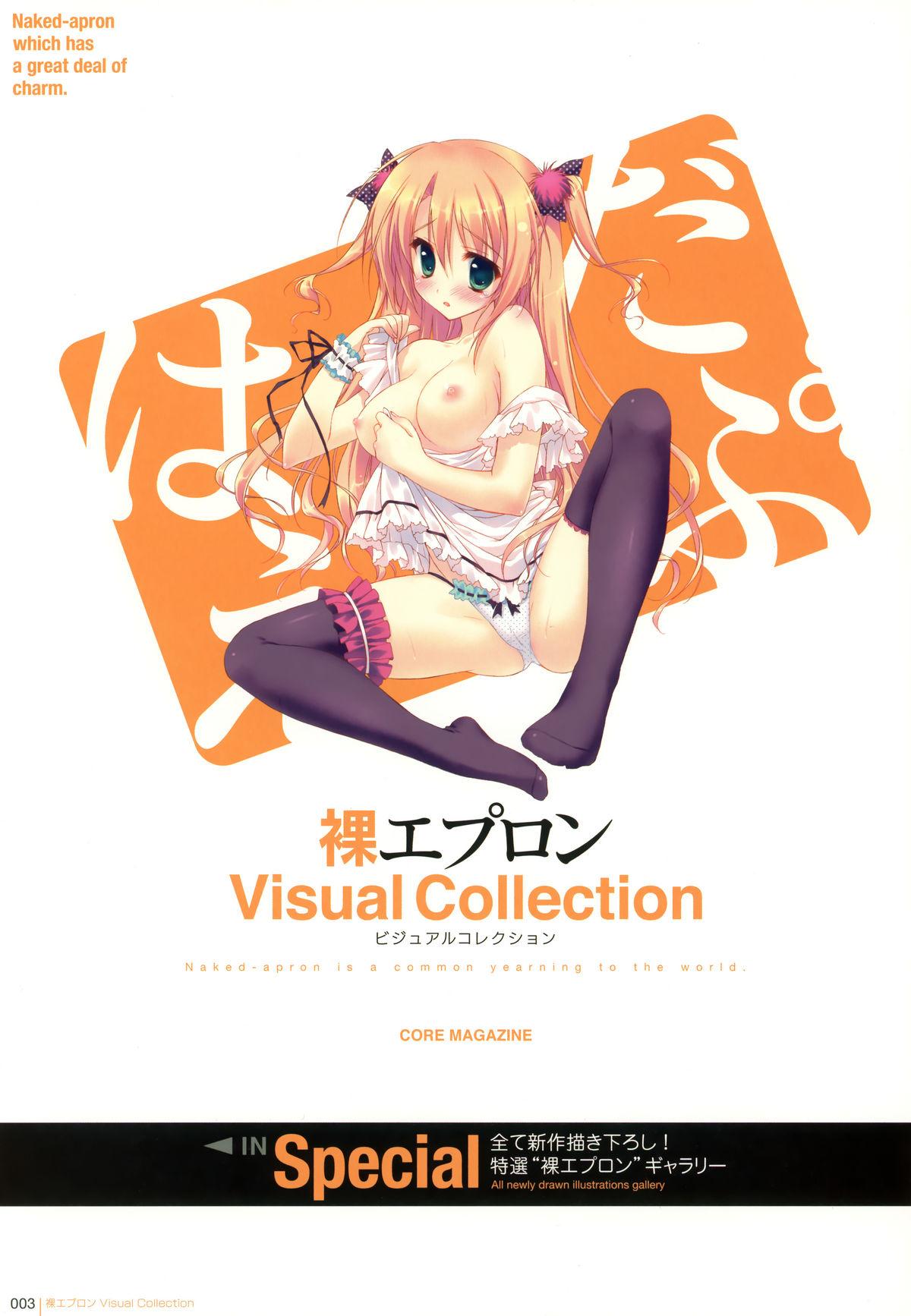 Hadaka Apron Visual Collection 2