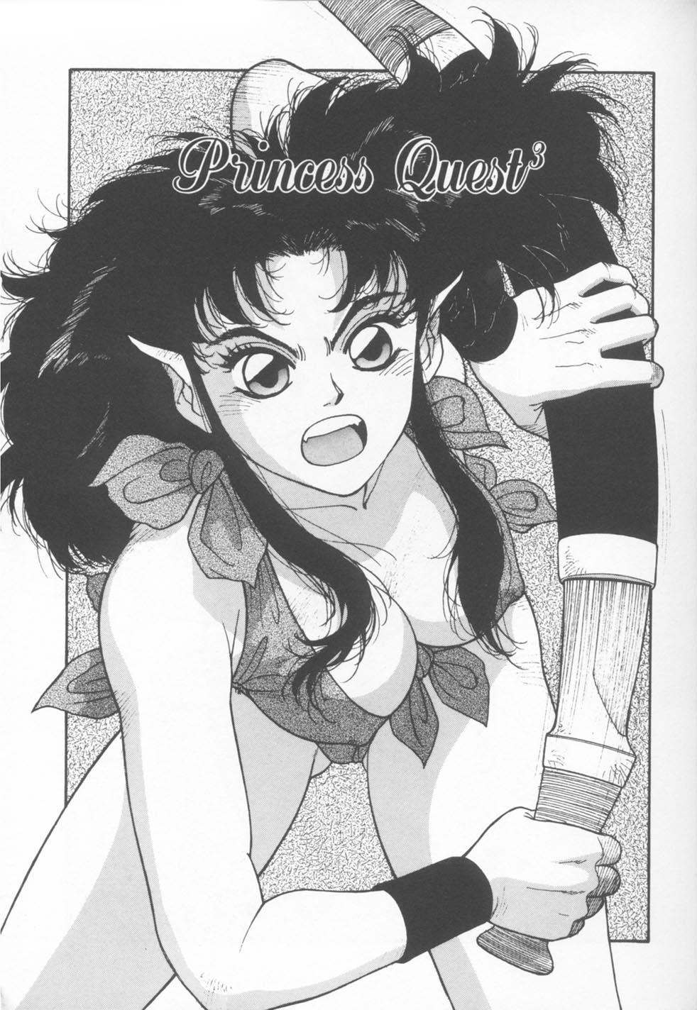Princess Quest Saga 88