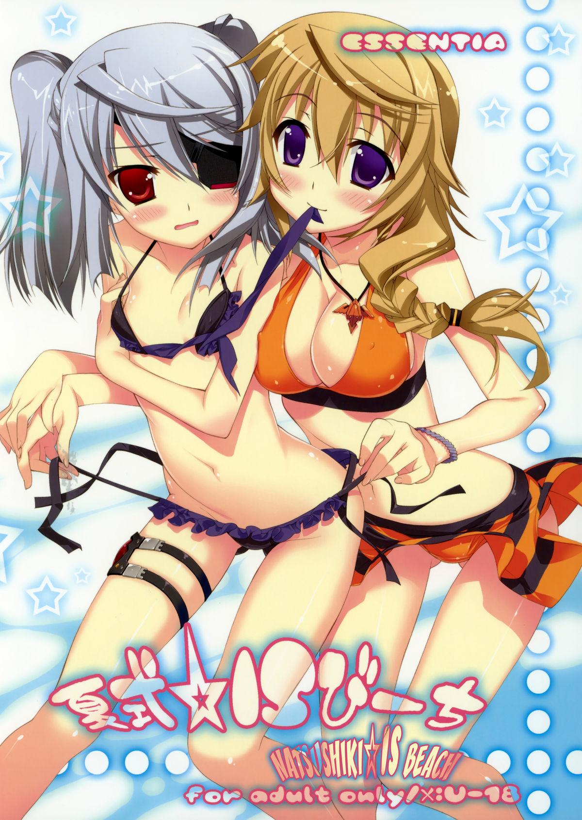 Assfucking Natsushiki IS Beach - Infinite stratos Straight - Picture 1