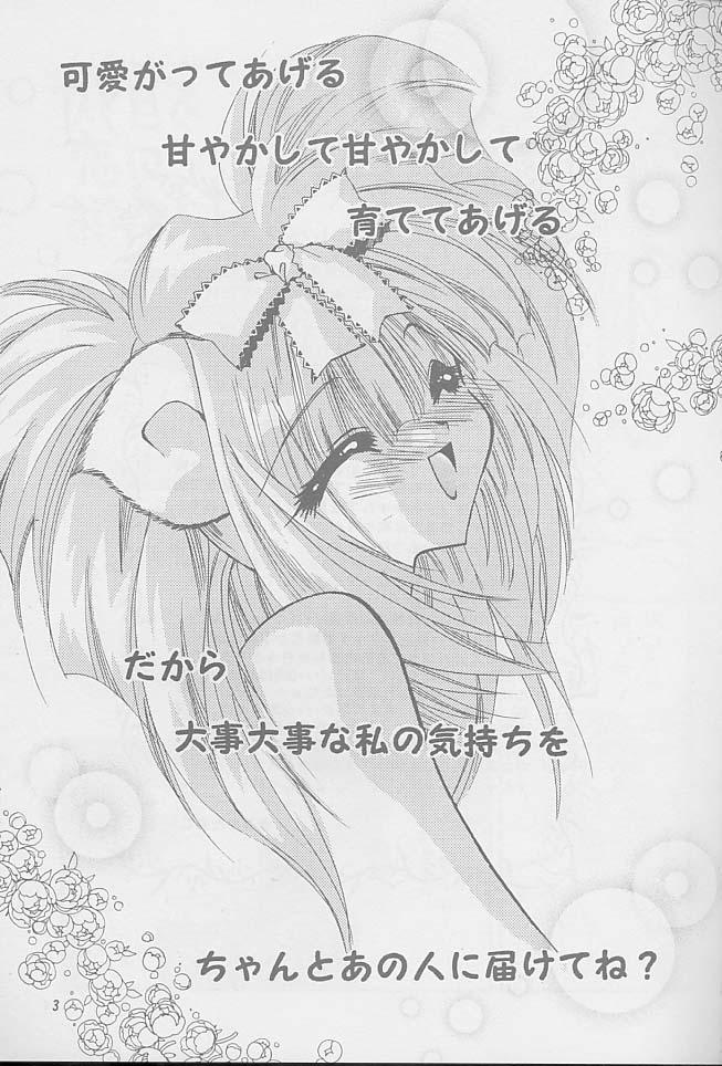 Cumswallow Hitome de Koini Ochimachita Wanking - Page 2