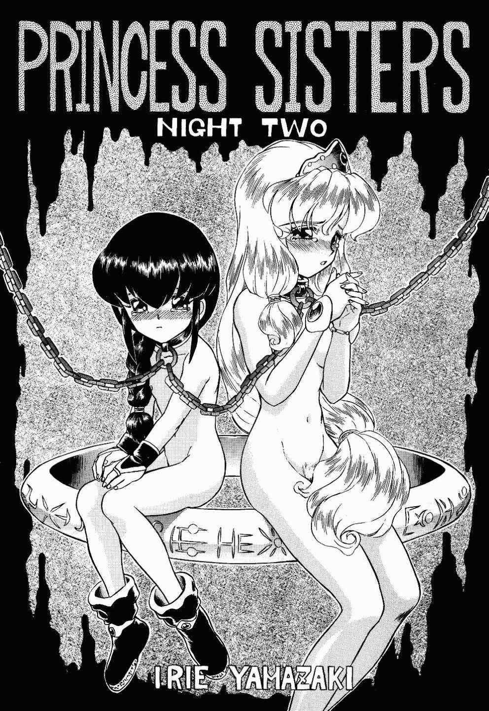 PRINCESS SISTERS NIGHT TWO (C52) [RAT TAIL (IRIE YAMAZAKI)] [ページ欠落] 0