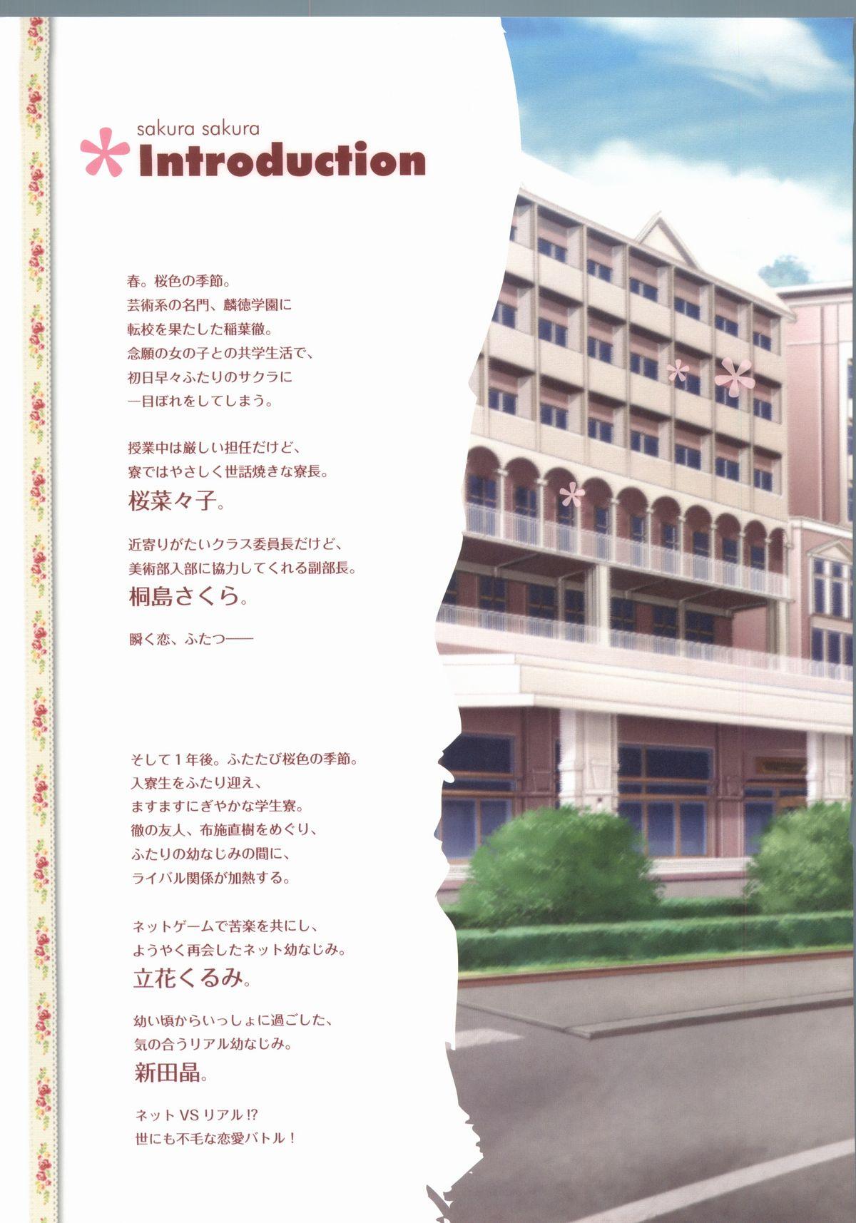 Sakura Sakura Visual Fan Book 2