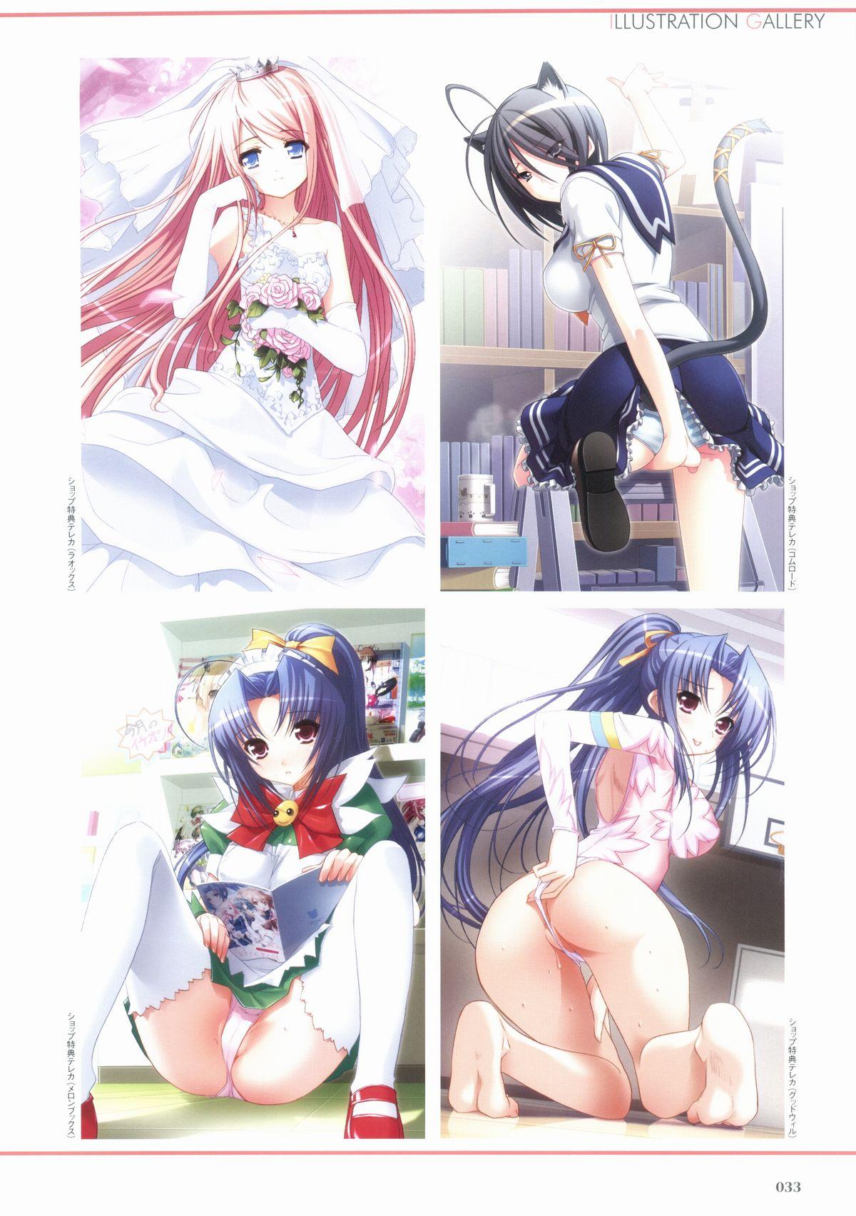 Sakura Sakura Visual Fan Book 37