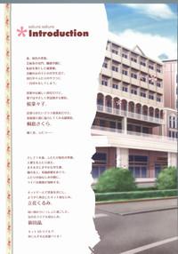 Sakura Sakura Visual Fan Book 3