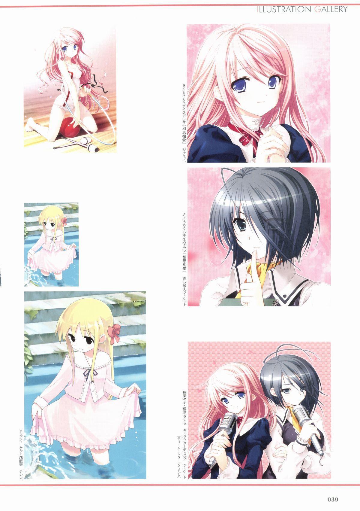 Sakura Sakura Visual Fan Book 43