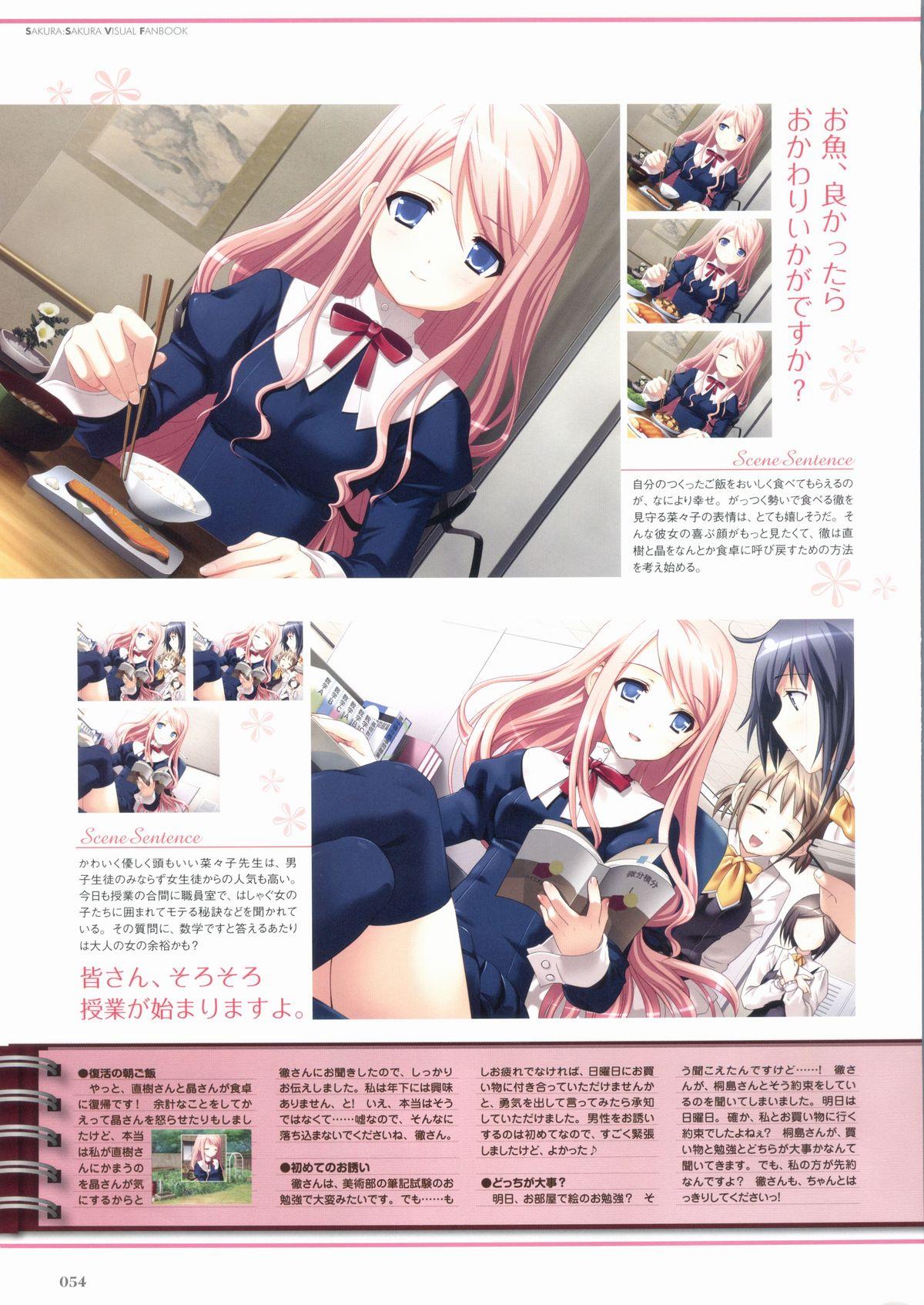 Sakura Sakura Visual Fan Book 59