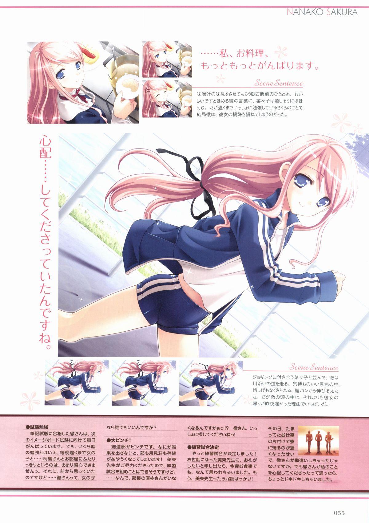 Sakura Sakura Visual Fan Book 59