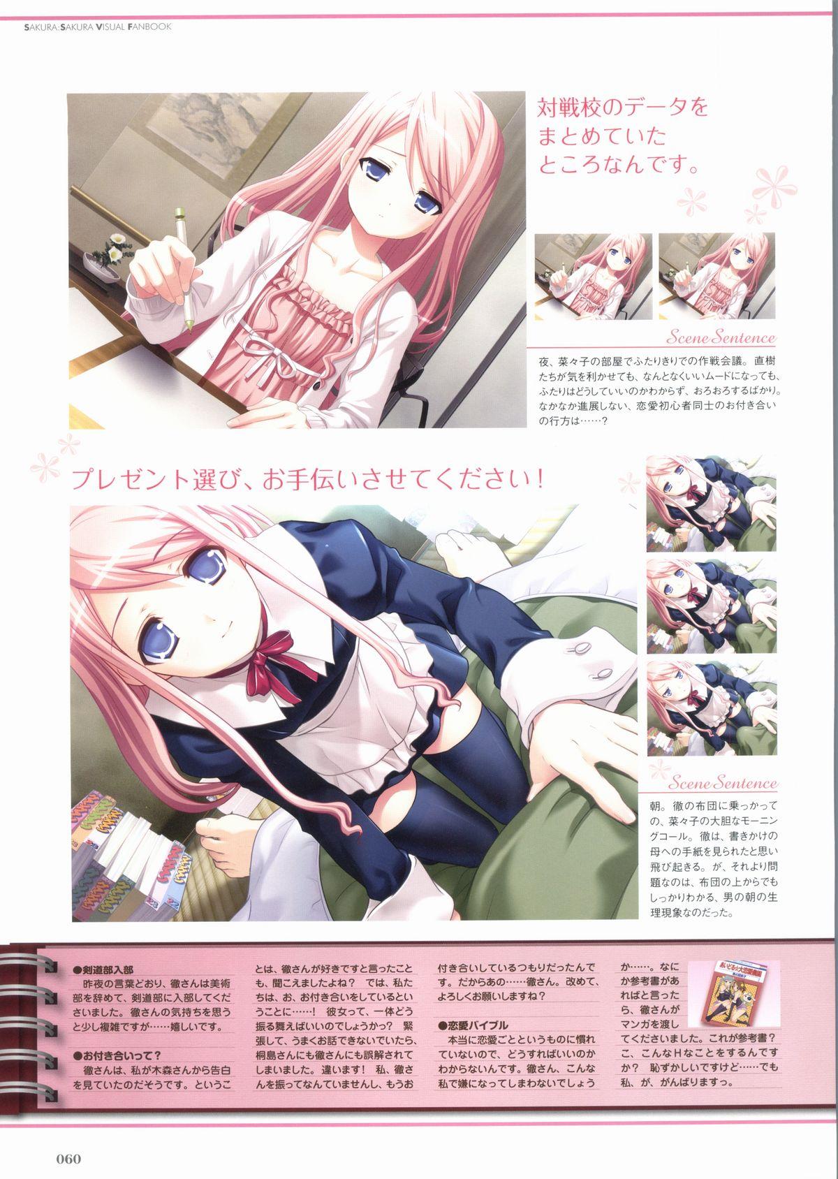 Sakura Sakura Visual Fan Book 64
