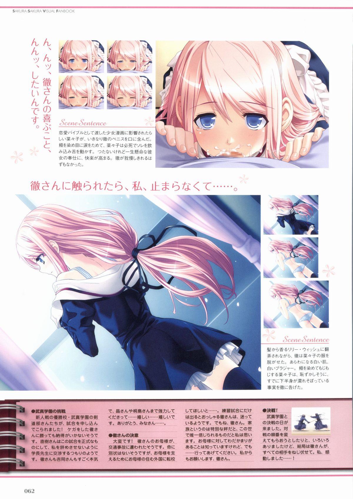 Sakura Sakura Visual Fan Book 66
