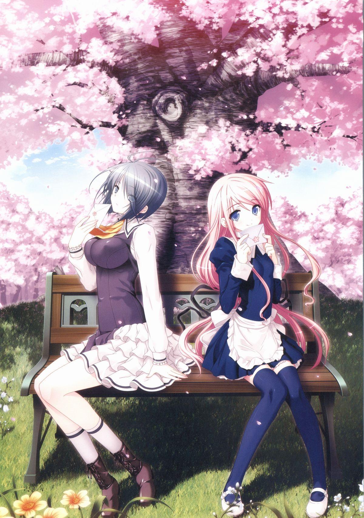 Sakura Sakura Visual Fan Book 6