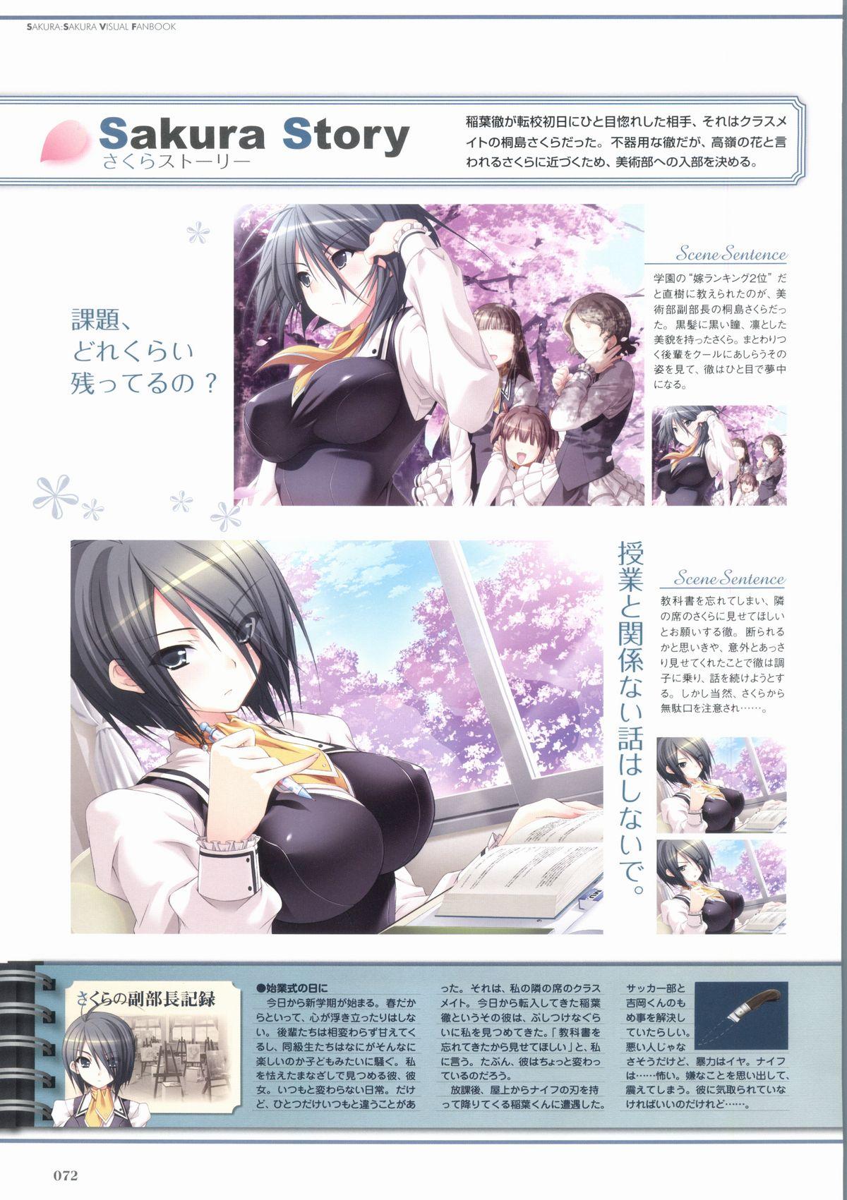 Sakura Sakura Visual Fan Book 76