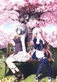 Sakura Sakura Visual Fan Book 7