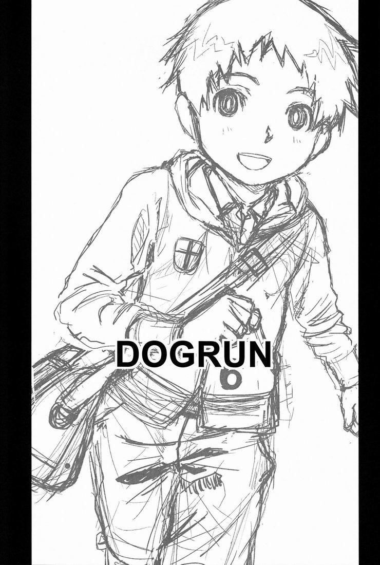 Dog Run 2