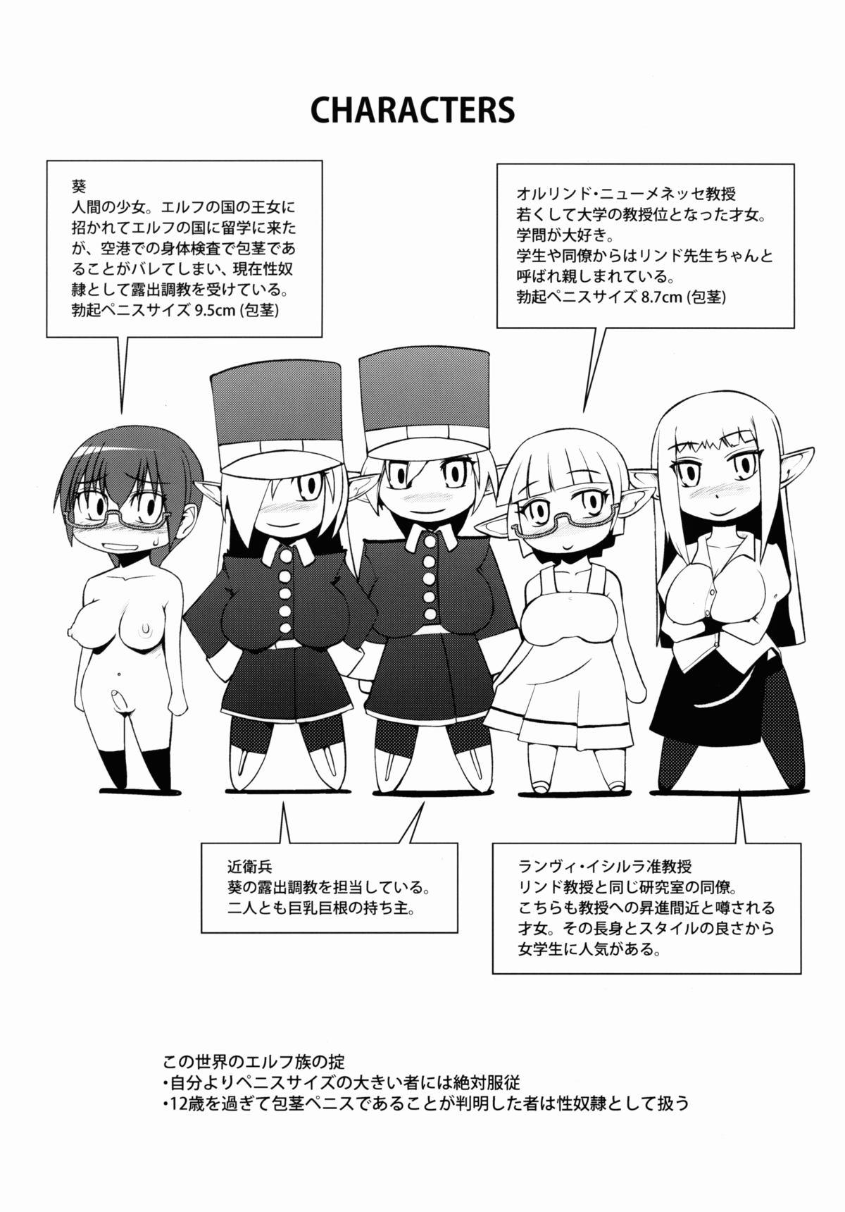 Twerk Elf no Kuni no Ochitai Kyouju Bigboobs - Page 4