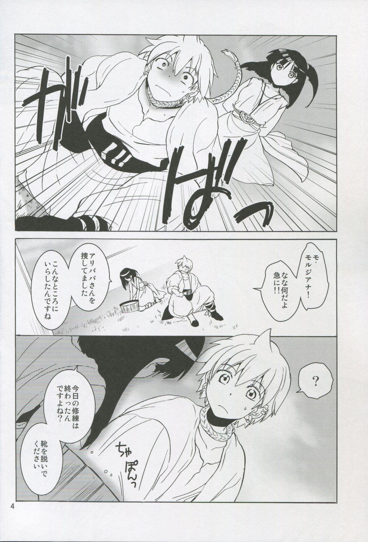 Casal ALI×MORU 2 - Magi the labyrinth of magic Chile - Page 3