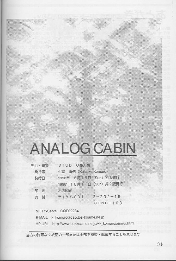 Analog Cabin 33