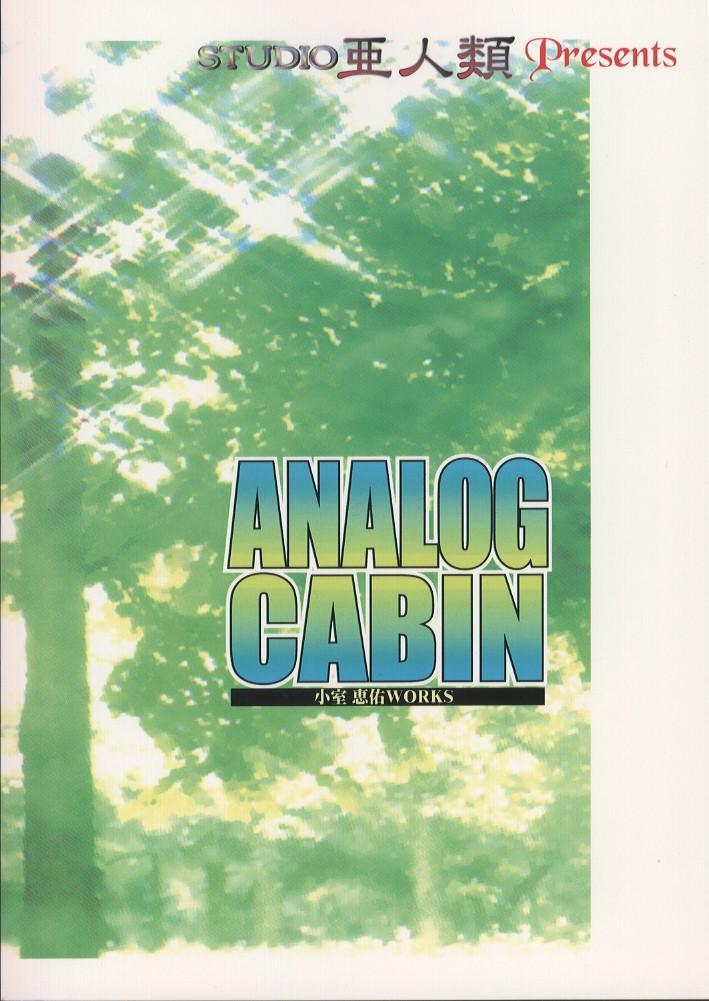 Analog Cabin 34