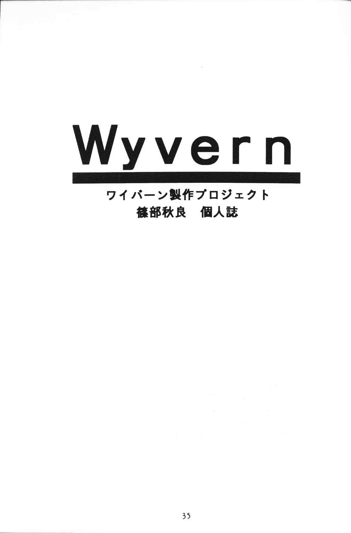 Wyvern 34